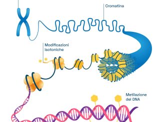 Metilazione: il processo biochimico fondamentale per la tua energia