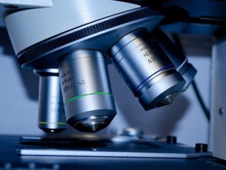 Sonno Polifasico: la scienza dietro i micro-riposi rigeneranti