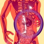 Microbiota e Umore: il secondo cervello che decide la tua felicità