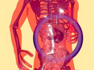 Microbiota e Umore: il secondo cervello che decide la tua felicità