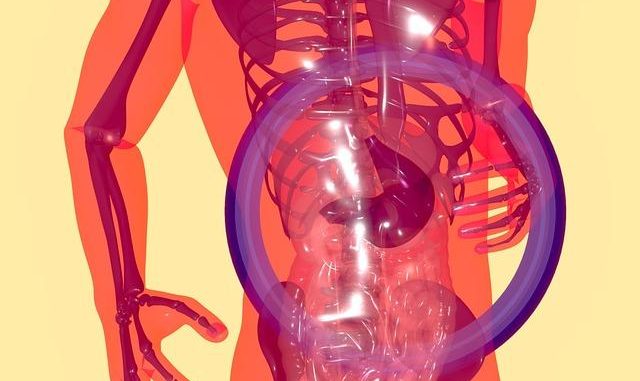 Microbiota e Umore: il secondo cervello che decide la tua felicità