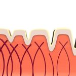 Il ruolo del Collagene: non solo pelle, ma anche articolazioni e intestino