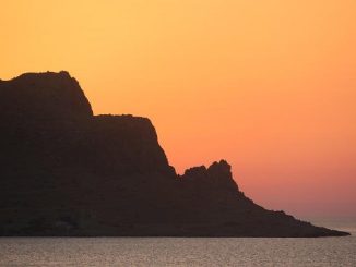 Gingerolo: il principio attivo dello zenzero che combatte l’infiammazione