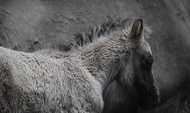 Radicali Liberi: chi sono e come neutralizzarli con gli antiossidanti