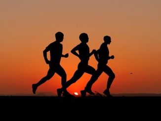 Adattogeni per lo sport: più resistenza e recupero in modo naturale