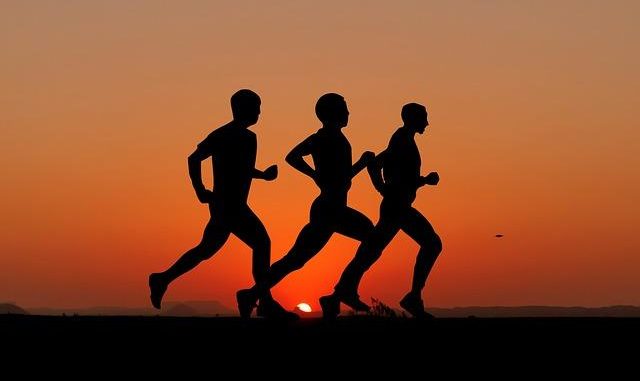 Adattogeni per lo sport: più resistenza e recupero in modo naturale