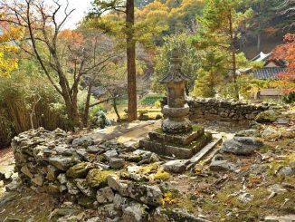 Zeolite Clinoptilolite: il minerale che disintossica dai metalli pesanti