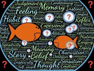 Psicogenealogia: come le storie familiari influenzano la nostra salute