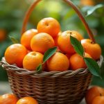 La Nutraceutica: quando l’alimento diventa un farmaco per il corpo