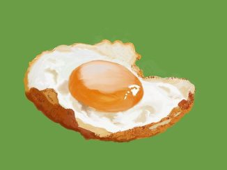 Lattoferrina: la proteina immunitaria, non solo nel latte materno