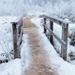 Il Sentiero mTOR: l’interruttore cellulare per longevità e salute