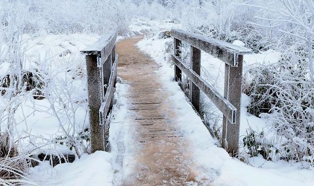 Il Sentiero mTOR: l’interruttore cellulare per longevità e salute