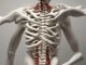 Osteopatia viscerale: come i massaggi curano il reflusso